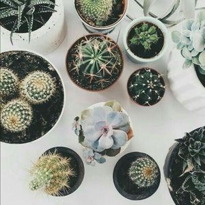 Meet your Posher, Ny